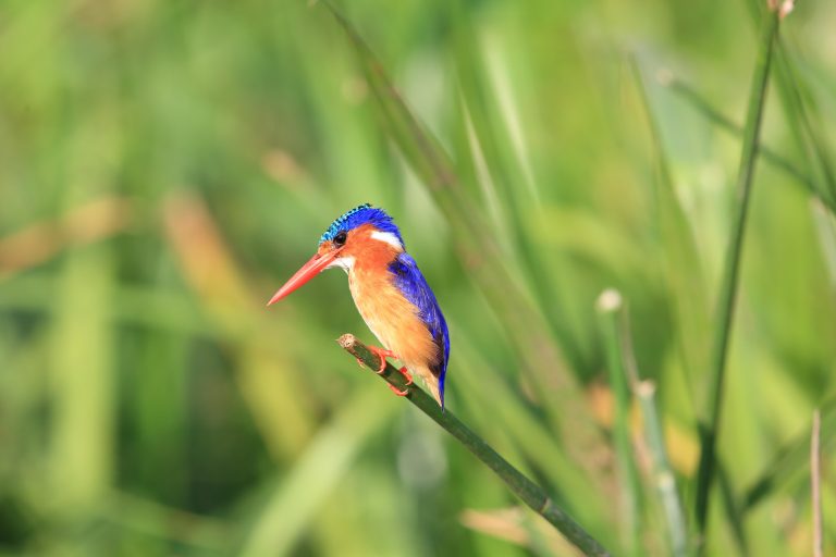 20250730 OBGA.AdobeStock 114834800 bing 768x512