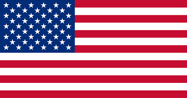 Standard US Flag 